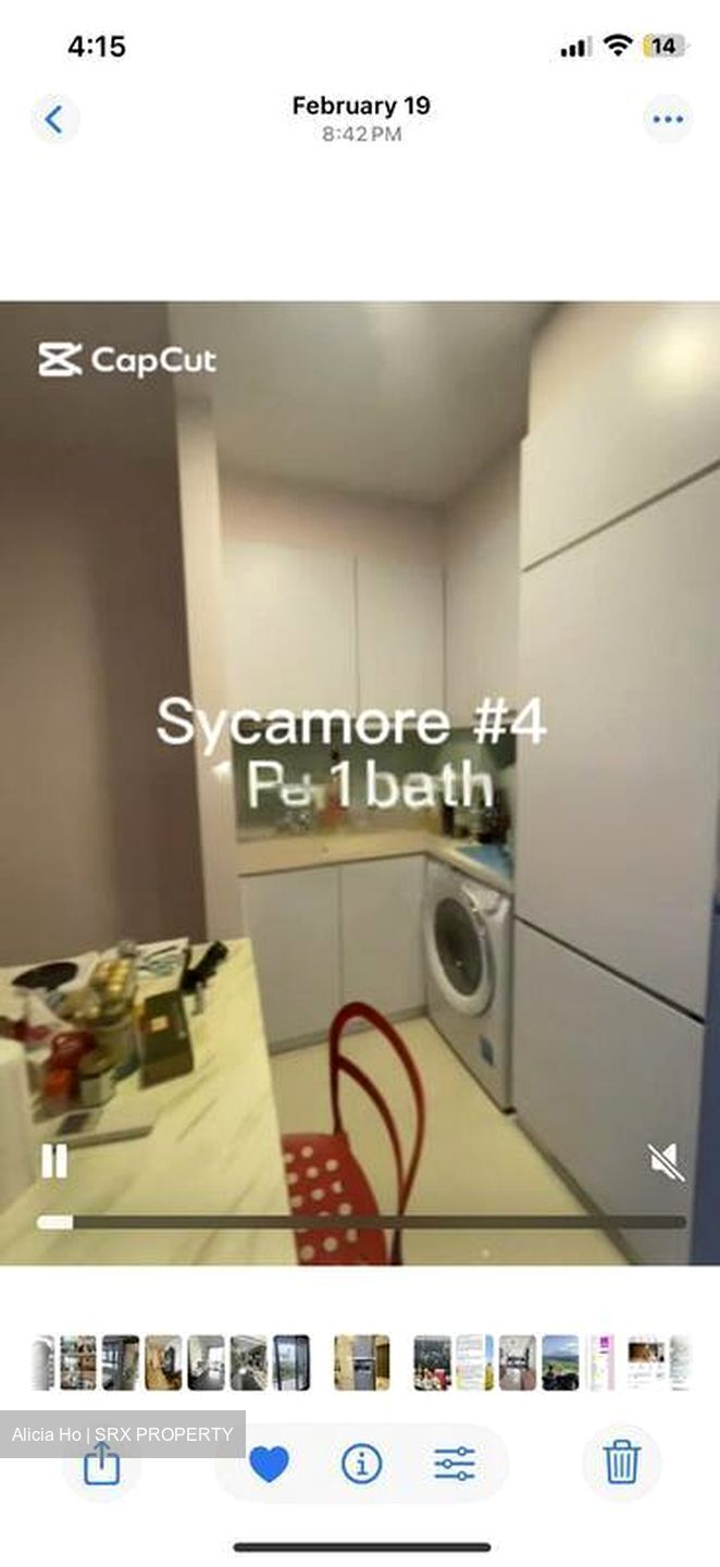 Sycamore Tree (D15), Apartment #488420981